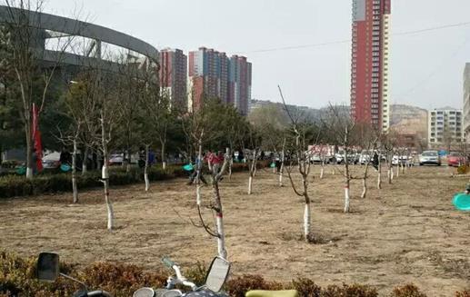 说明:C:\Users\Administrator\Documents\Tencent Files\877471676\Image\C2C\F9110EEBD0280E59C12C63F7146D1987.jpg